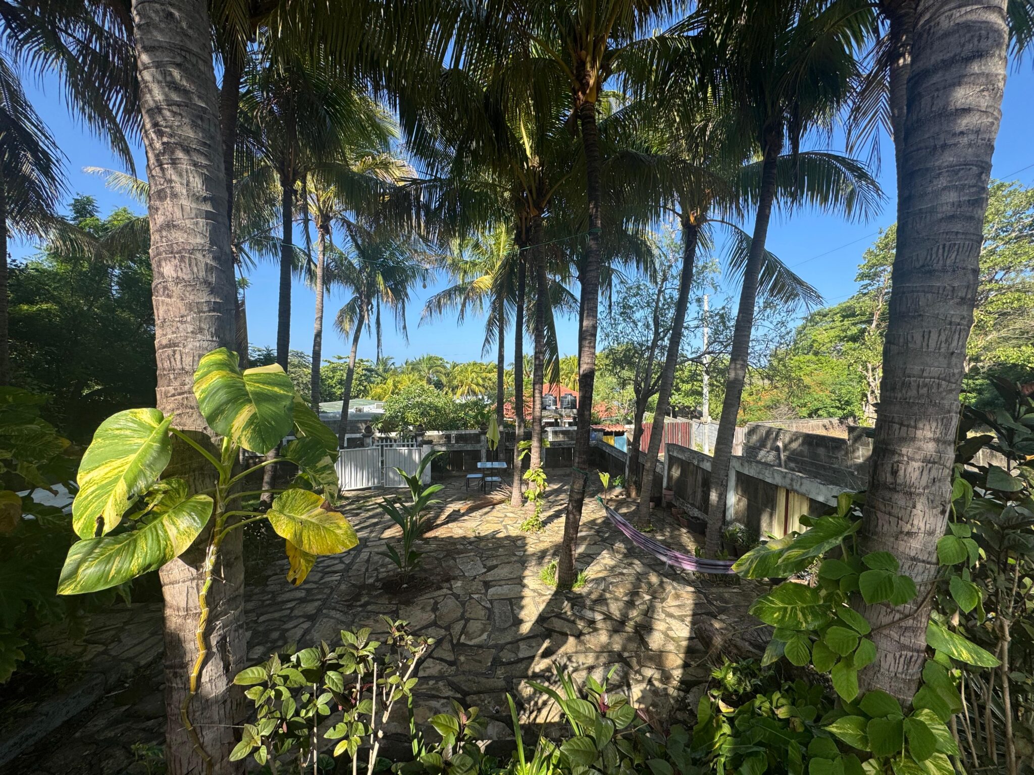 Pool and patio at Casa de Los Cocos