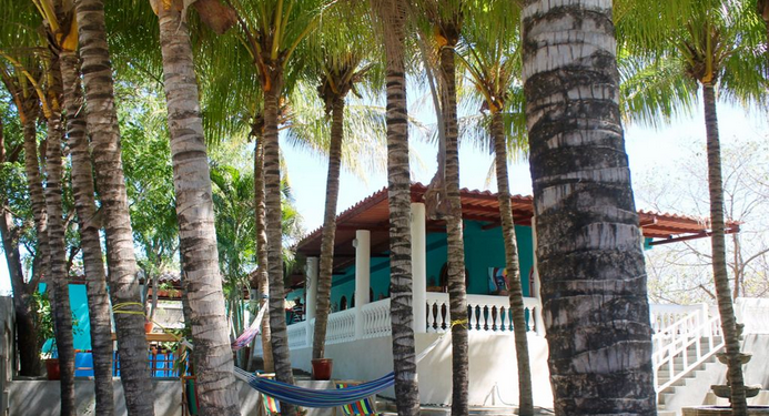 Casa de los Cocos palms